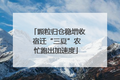 颗粒归仓稳增收 宿迁“三夏”农忙跑出加速度