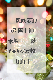 风吹麦浪起 再上神禾塬——陕西西安夏收见闻