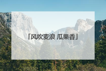 风吹麦浪 瓜果香