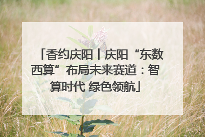 香约庆阳丨庆阳“东数西算”布局未来赛道：智算时代 绿色领航