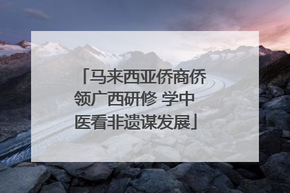 马来西亚侨商侨领广西研修 学中医看非遗谋发展