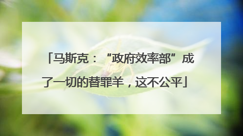 马斯克：“政府效率部”成了一切的替罪羊，这不公平