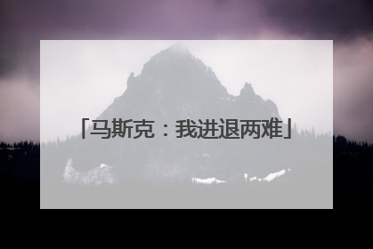 马斯克：我进退两难