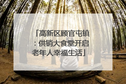 高新区顾官屯镇：供销大食堂开启老年人幸福生活