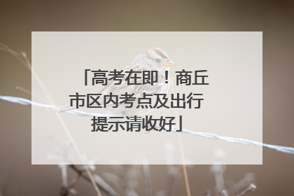 高考在即！商丘市区内考点及出行提示请收好