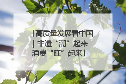 高质量发展看中国｜非遗“潮”起来 消费“旺”起来