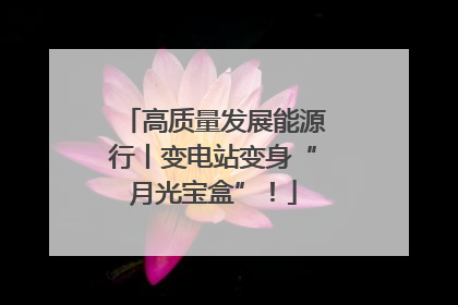高质量发展能源行丨变电站变身“月光宝盒”！