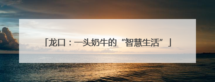 龙口：一头奶牛的“智慧生活”