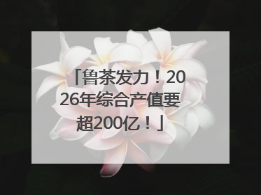 鲁茶发力！2026年综合产值要超200亿！