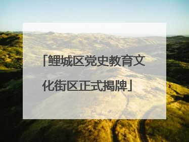 鲤城区党史教育文化街区正式揭牌