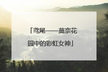鸢尾——莫奈花园中的彩虹女神