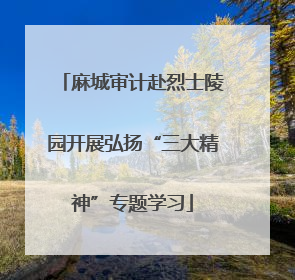 麻城审计赴烈士陵园开展弘扬“三大精神”专题学习