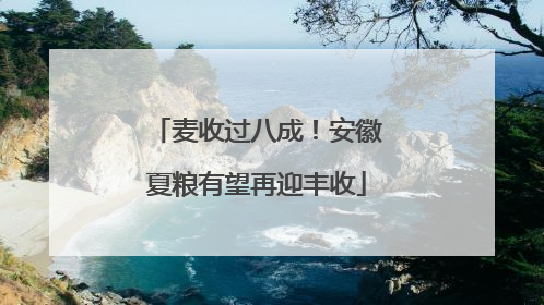 麦收过八成！安徽夏粮有望再迎丰收