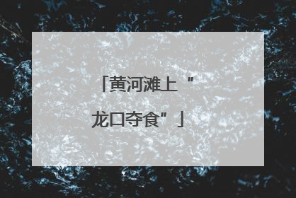 黄河滩上“龙口夺食”