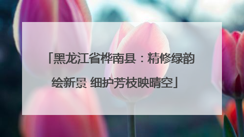 黑龙江省桦南县：精修绿韵绘新景 细护芳枝映晴空