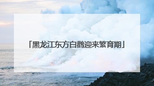 黑龙江东方白鹳迎来繁育期