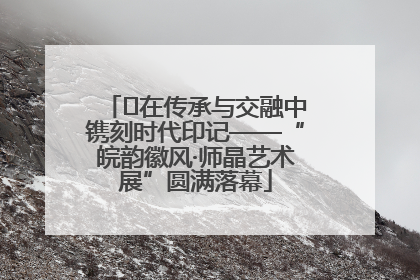 ﻿在传承与交融中镌刻时代印记——“皖韵徽风·师晶艺术展”圆满落幕