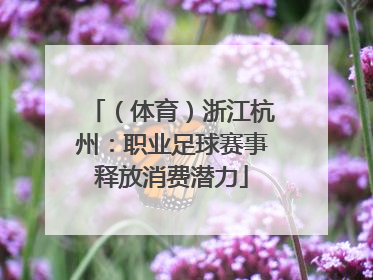 （体育）浙江杭州：职业足球赛事释放消费潜力