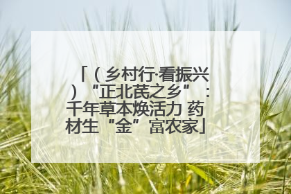 （乡村行·看振兴）“正北芪之乡”：千年草本焕活力 药材生“金”富农家