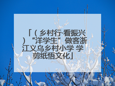 （乡村行·看振兴）“洋学生”做客浙江义乌乡村小学 学剪纸悟文化