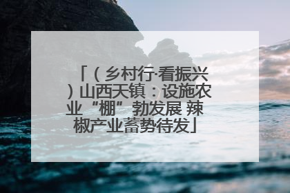 （乡村行·看振兴）山西天镇：设施农业“棚”勃发展 辣椒产业蓄势待发