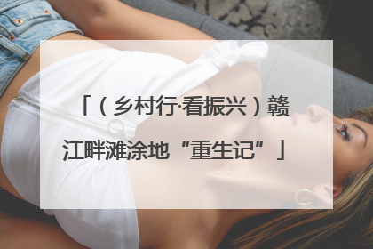 （乡村行·看振兴）赣江畔滩涂地“重生记”