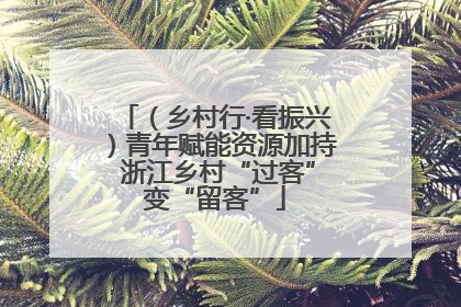 （乡村行·看振兴）青年赋能资源加持 浙江乡村“过客”变“留客”