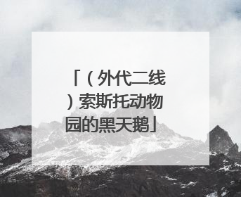 （外代二线）索斯托动物园的黑天鹅