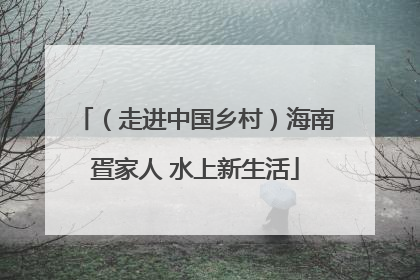 （走进中国乡村）海南疍家人 水上新生活