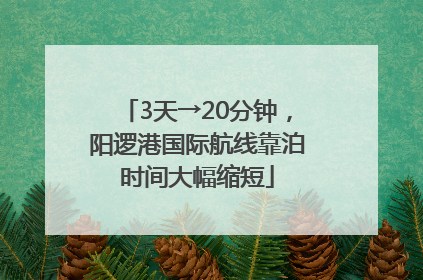 3天→20分钟，阳逻港国际航线靠泊时间大幅缩短