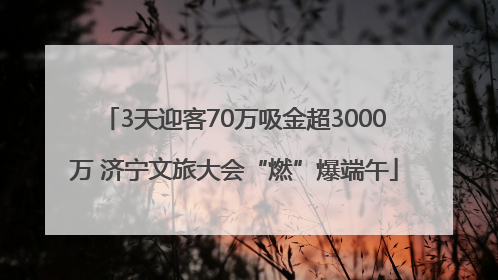 3天迎客70万吸金超3000万 济宁文旅大会“燃”爆端午