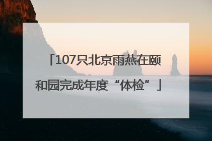 107只北京雨燕在颐和园完成年度“体检”