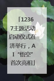12367主题活动启动仪式在济举行，AI“悟空”首次亮相