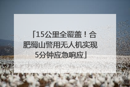15公里全覆盖！合肥蜀山警用无人机实现5分钟应急响应