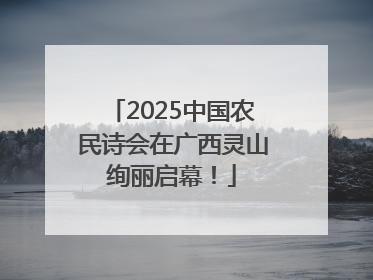 2025中国农民诗会在广西灵山绚丽启幕！