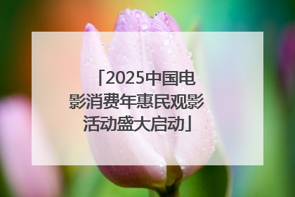 2025中国电影消费年惠民观影活动盛大启动