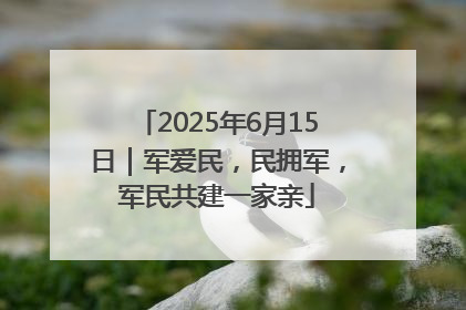 2025年6月15日｜军爱民，民拥军，军民共建一家亲