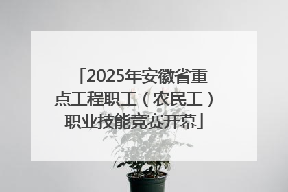 2025年安徽省重点工程职工（农民工）职业技能竞赛开幕