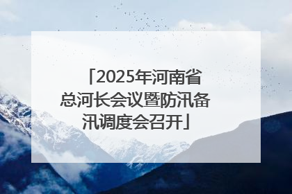 2025年河南省总河长会议暨防汛备汛调度会召开