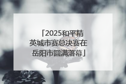 2025和平精英城市赛总决赛在岳阳市圆满落幕