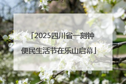 2025四川省一刻钟便民生活节在乐山启幕