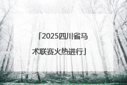 2025四川省马术联赛火热进行