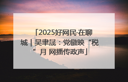 2025好网民·在聊城｜吴聿晟：党徽映“税”月 网播传政声