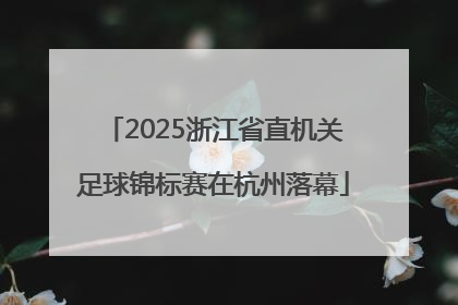 2025浙江省直机关足球锦标赛在杭州落幕