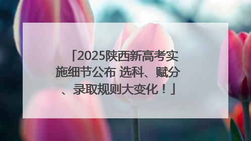 2025陕西新高考实施细节公布 选科、赋分、录取规则大变化！