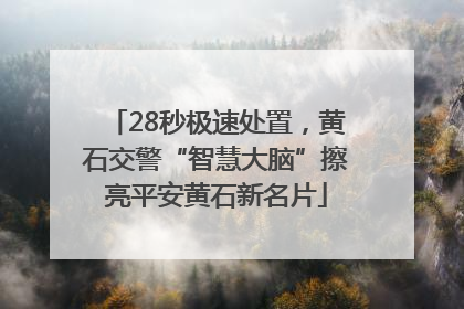 28秒极速处置，黄石交警“智慧大脑”擦亮平安黄石新名片