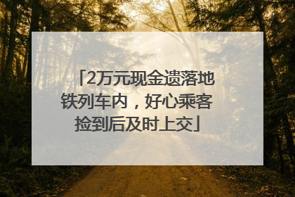 2万元现金遗落地铁列车内，好心乘客捡到后及时上交