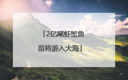 2亿尾虾蟹鱼苗将游入大海