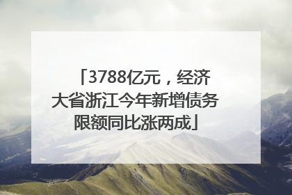 3788亿元，经济大省浙江今年新增债务限额同比涨两成