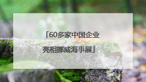 60多家中国企业亮相挪威海事展